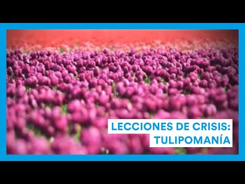 youtube-img
