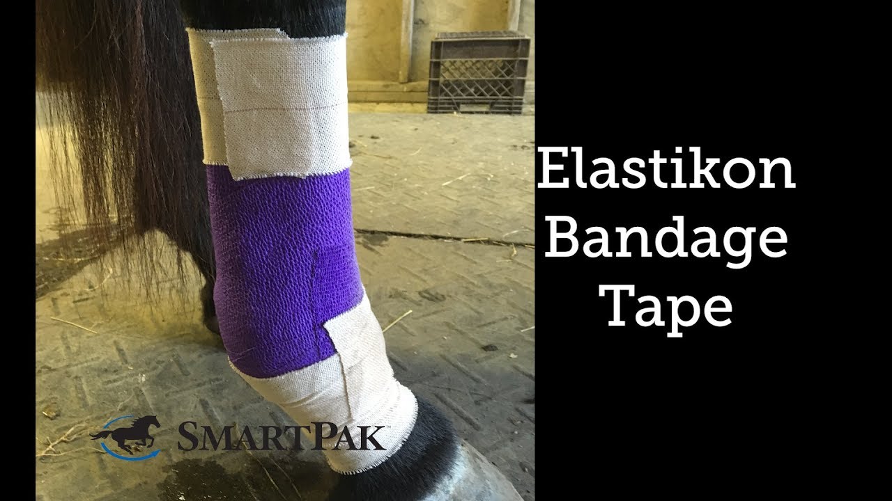 SmartPak Monday Morning Feed Tips & Tricks for Equine Wound Bandaging