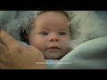 Publicidad Monsterlatam.com – Potencial