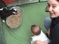 Emmanuelle and Hadas in the Petting Zoo