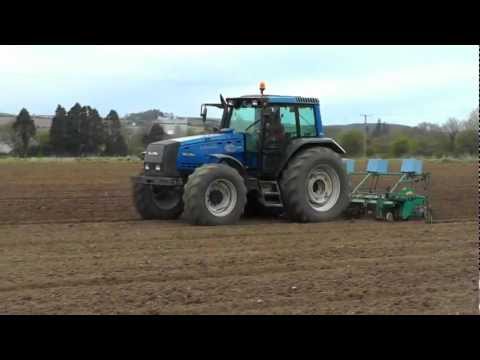 how to grow sugar beets