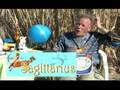 All About Astrology : The Sign Sagittarius in Astrology