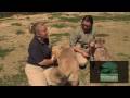 Cathryn Hilker Describes Puppy Cheetah Relationship-Cincinnati Zoo