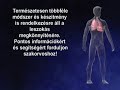Dohányzás- animáció