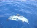 My holiday to Turkey - Sailing - filmed by hannah jones