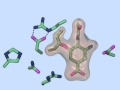Mechanism of Resistance to Oseltamivir