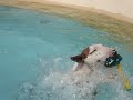 gandja qui serait prete a tout pour attraper le thermometre dans la piscine