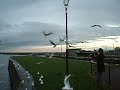 Galway_1
