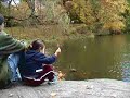 Central Park in Autumn