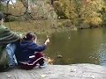 Central Park in Autumn