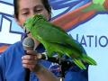Max the talking parrot @ the National Aviary -- Pittsburgh