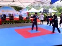 中華武術散打搏擊協會2008K-1優勝《排灣勇者》楊東雄，2007北京格鬥優勝《格鬥小天王》范仲杰率本會黑、褐帶好手黃國洋、鄭宇哲、張傑、阿岳、阿倫等做散打搏擊系列精采展演