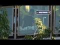 david beckham at sons birthday party in los angeles, california. usa