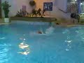 Mat butterfly 240306.mp4