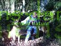 Nanouk et Cayenne in the nature