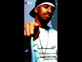 Firm Biz (RMX) World Famous Nas, Foxy,AZ, Half A Mil, Nature Firm Biz (RMX) World Famous Nas, Foxy,AZ, Half A Mil, Nature