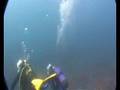 Javea Dive