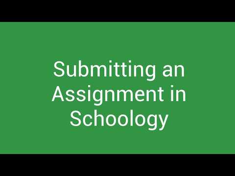 schoology submissions