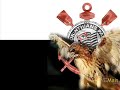 Corinthians Eu Te Amo