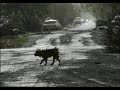 Remembering Katrina