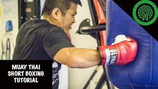 muay thai short boxing tutorial