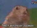 Psychotic Prairie Dog