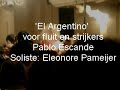 rotterdams kamerorkest eleonore pameijer- part2