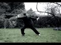 Tai Chi Sun Style modified Tai Chi Sun Style modified