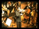 zigeunerweisen sorin alexandru horlea