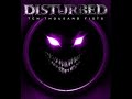 Disturbed - Pain Redefined