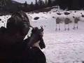 2nd Clear Creek 3Gun Match Subgun Class