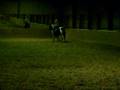 SL272040.AVI