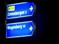 Tientallen varkens dood na ongeval op A17