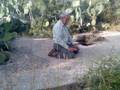 قصة لاجئ عاد ليزور قريته المهدمه في فلسطين