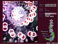 This is my 156th attempt and first successful clearance of Perfect Cherry Blossom's Phantasm level. I first discovered Touhou late August 2008, while looking for freeware games to fill my channel with. I stumbled upon Shoot The Core, a website chronicling shooters. Intrigued, I downloaded a few, until I happened upon the Touhou section. I had heard of Touhou and knew it was supposed to be hard, but hadn't explored it any further than that. Choosing one of the titles at random, I clicked to download Perfect Cherry Blossom, believing it to be freeware. I didn't know much about bullet hell shooters. The closest I'd come to playing one was Ikaruga, which I adored, but wasn't really bullet hell. Nonetheless I managed to get up to and defeat Alice, who I believed to be the final boss at the time. Finding the difficult gameplay refreshing, I decided to look into the game further. Looking up Perfect Cherry Blossom on youtube, a level appeared I hadn't seen before, titled Phantasm. Curious, I clicked... and fell in love. The music! The ridiculous attacks, the pace- everything was so incredibly epic. I knew- right then- I was going to do it some day. I looked around trying to find how to unlock it, and discovered it was only in the full version. As a rule, I dislike downloading titles that can be bought, so until the date came that I could purchase the full copy, I got further and further into the fandom, learning about all the characters, the stories, and of course the fantastic <b>...</b>