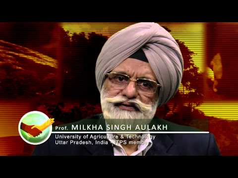 how to provide technical guidance