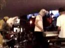 The Dilettantes at ecofest