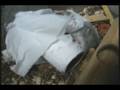 Gangstress murdering the tissue roll