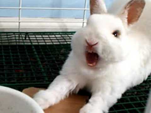 Cute video Cute video