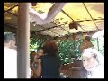 Jungle cruise Jungle cruise