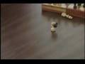 metrologatos intro
