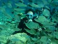 diving