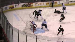 Cyclones vs Walleye - February 4, 2014