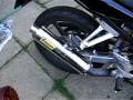 videos de moto-sharon