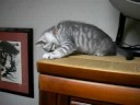 ??On the wardrobe ? ???????(*^_^*)???