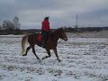 video Vilon Viima