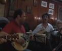 TRAUBE Live TRAUBE Live