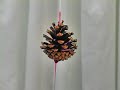 How to: Pine Cone Fire Starters