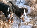 Emma und Josi Emma und Josi