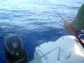 Fishing albacore tuna outside of Rethymnon Crete